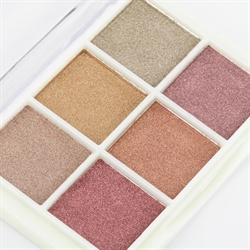 Mirror Powder Pigmenter 6 stk, Molly Nails